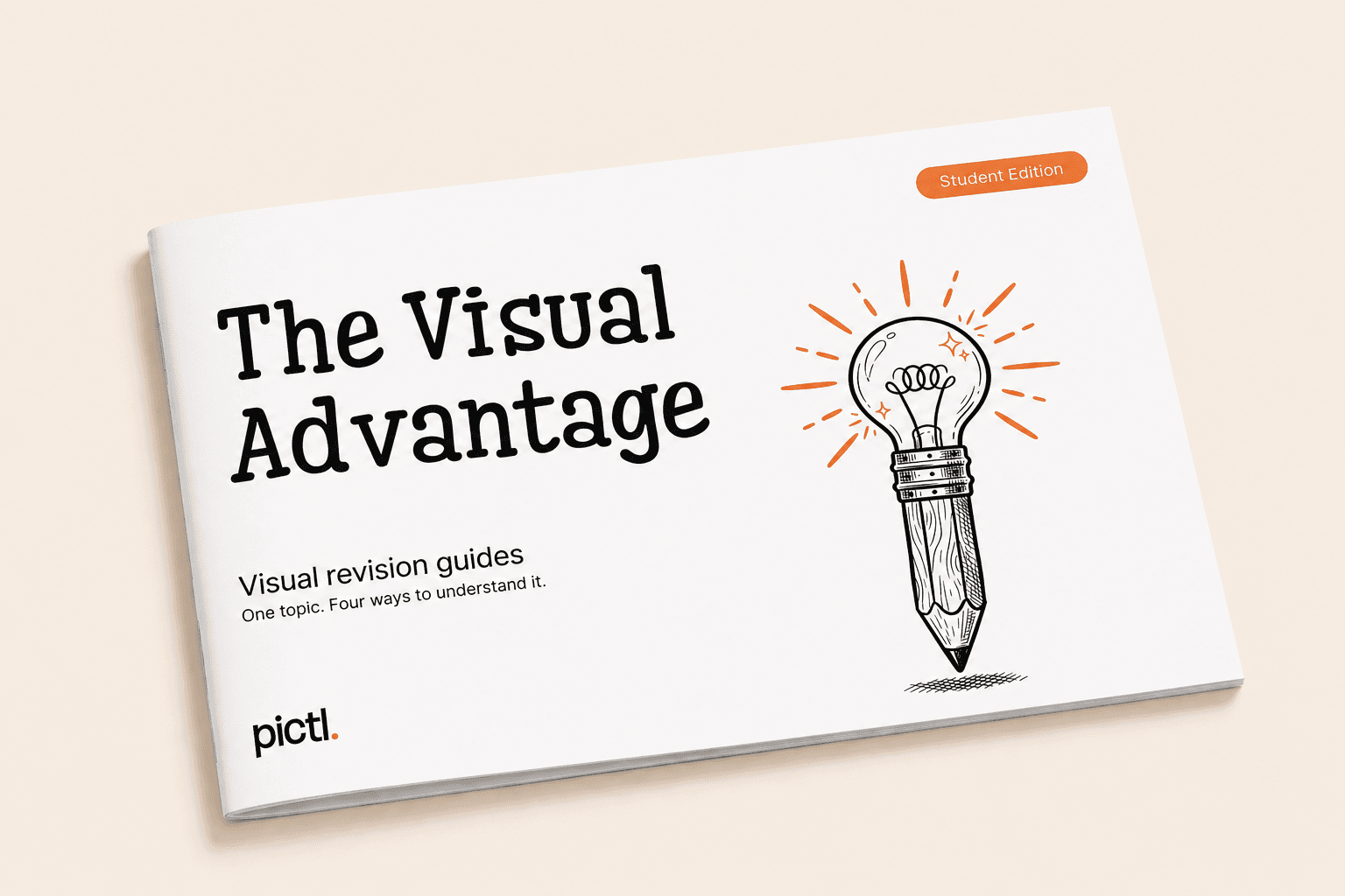 The Visual Advantage guide cover